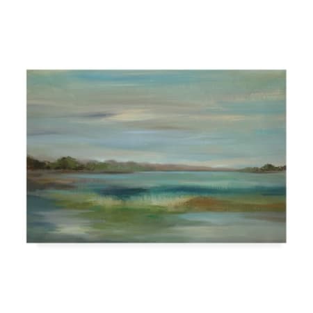Silvia Vassileva 'Emerald Lagoon' Canvas Art,16x24